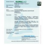 Certyfikat GlobalGap Ostrowit